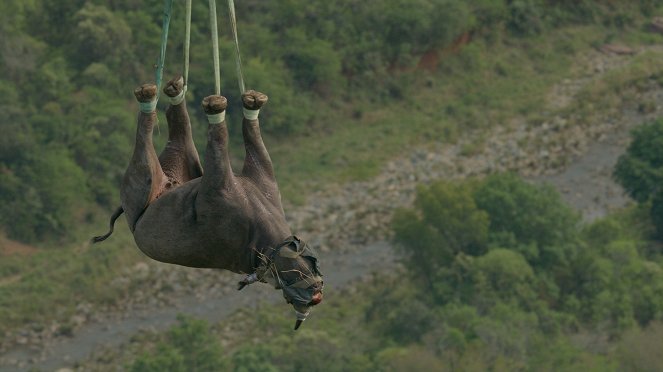 Planet Earth - Season 3 - Heroes - Photos