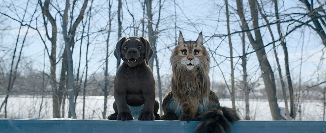 Kočka a pes: Šílené dobrodružství - Z filmu
