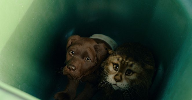 Pies i kot - Z filmu
