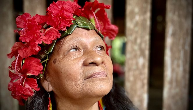Von Wurzeln und Stämmen - Panama, la forêt des Embera - Filmfotos