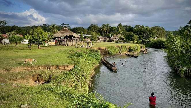 Peuples racines - Panama, la forêt des Embera - Do filme