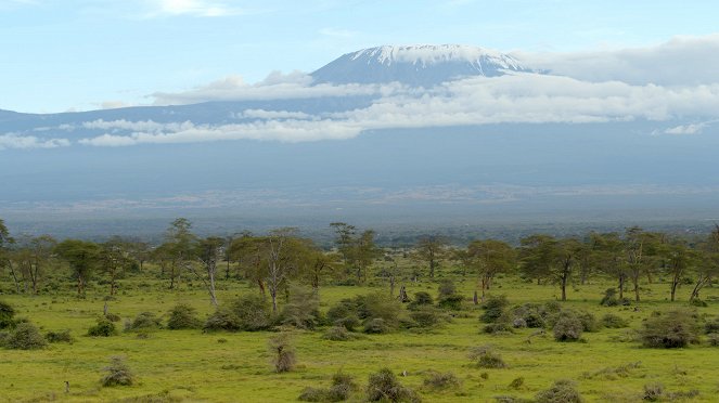 L'Afrique vue du ciel - Film