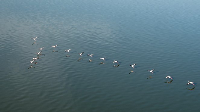 Africa from Above - Z filmu