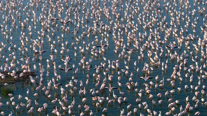 Africa from Above - Photos