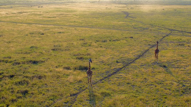 Africa from Above - Kuvat elokuvasta