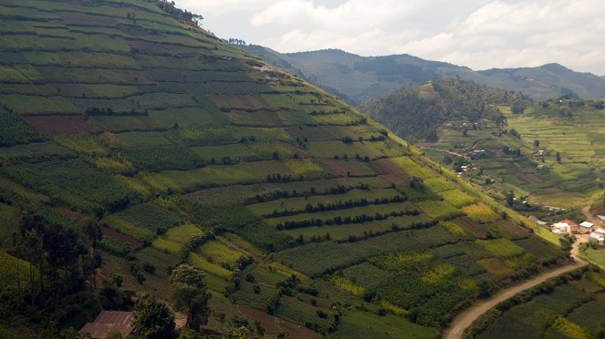 Africa from Above - Do filme