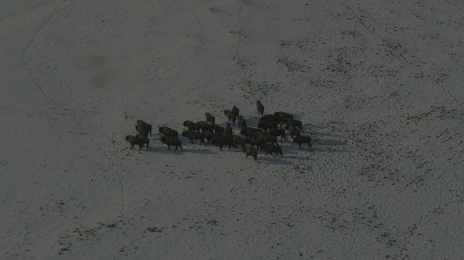 Europe from Above - Poland - Kuvat elokuvasta