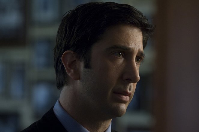 Nothing But the Truth - Van film - David Schwimmer