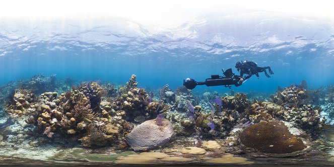 Chasing Coral - De la película
