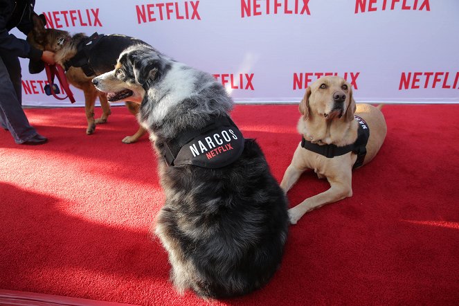 Narcos - Season 1 - Z imprez - Los Angeles, California, May 11 - Netflix holds a screening and panel at Paramount Pictures for Narcos