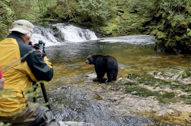 Auf den Spuren der Bären - Filmfotos