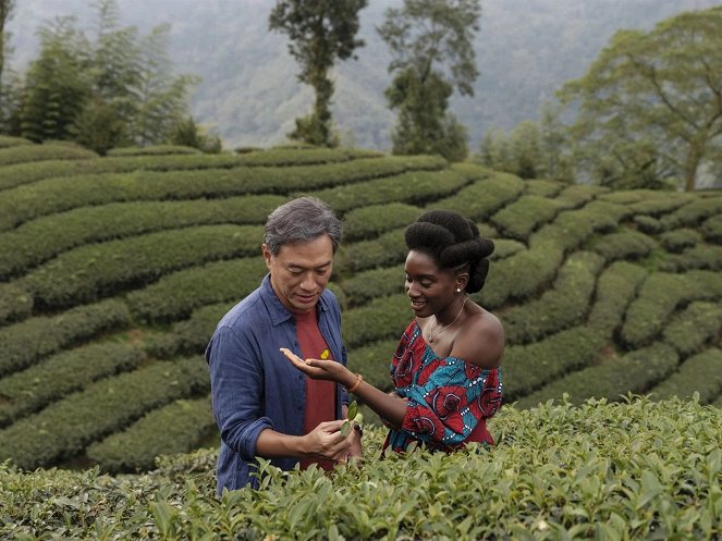 Black Tea - De la película - Nina Melo