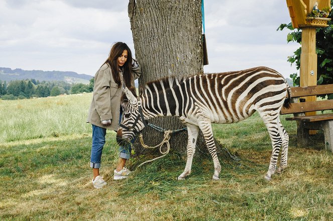 Legyen mindig tavasz - Ein Zebra im Gepäck - Filmfotók