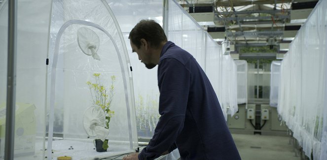 Síla rostlin – tajemný dobyvatel - Z filmu