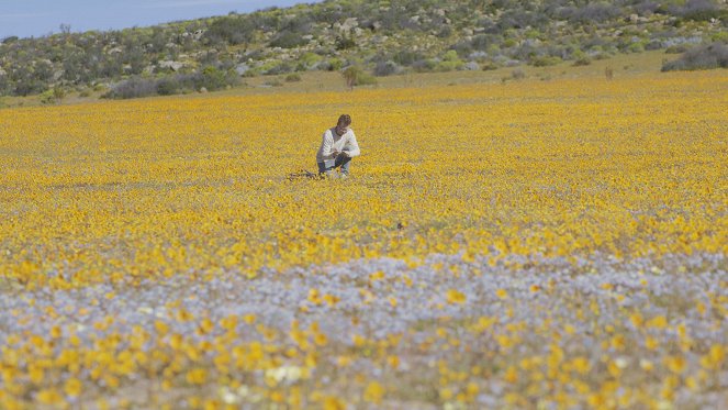 L'Abominable Mystère des fleurs - Kuvat elokuvasta