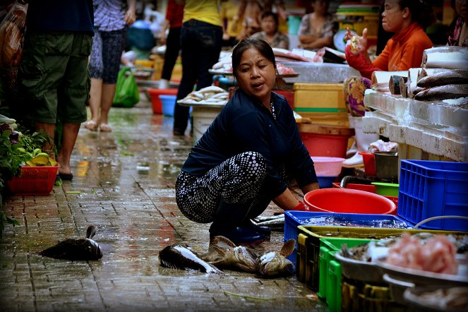 Na cestě - Na cestě po Ho Či Minově Městě - Van film
