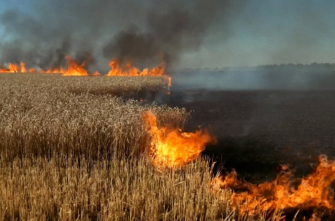 La Guerre du blé - Z filmu