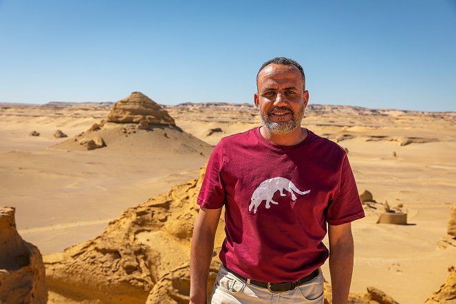 Egypt's Secret Valley of the Whales - Photos