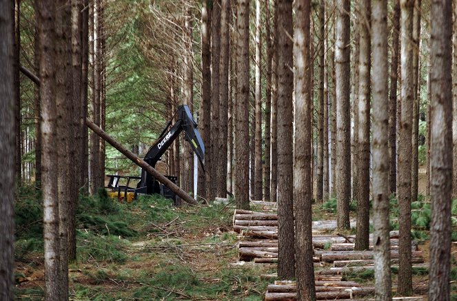 Ikea : Le seigneur des forêts - Film
