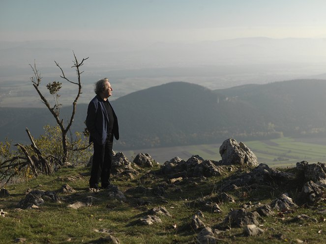 Auch das ist Österreich - Auch das ist Niederösterreich - Van film