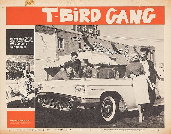 T-Bird Gang - Vitrinfotók