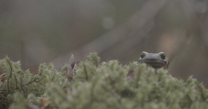 Le Pari de la Salamandre - Filmfotos
