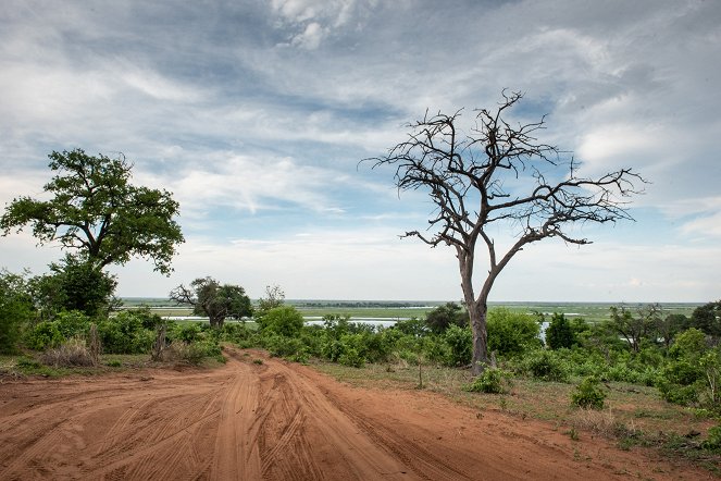 Africká abeceda - Filmfotók