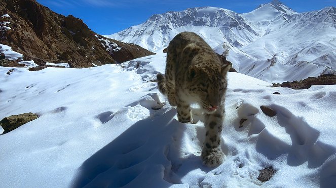 Earthsounds - The Himalayas - Photos