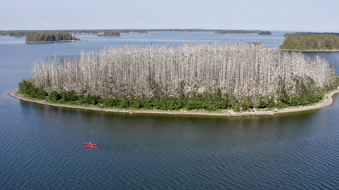 Schweden – Ruf der Wildnis - Z filmu