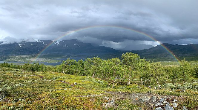 Schweden – Ruf der Wildnis - Photos