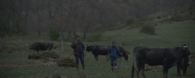 El molino - De la película