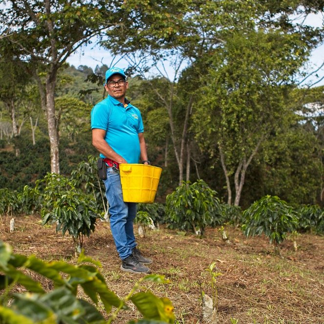 The Future of Coffee - Photos