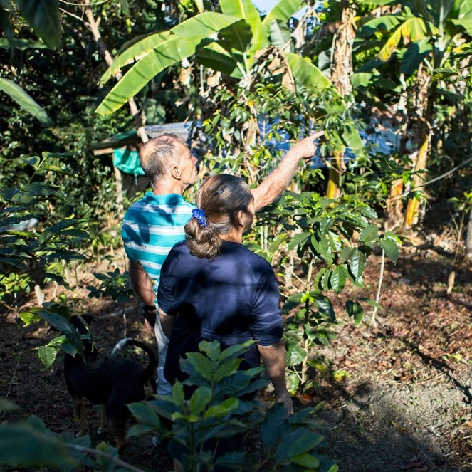 The Future of Coffee - Photos