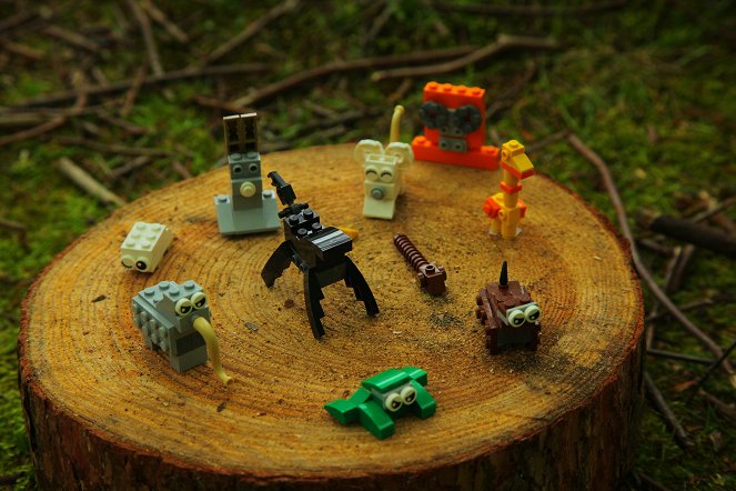 LEGO Masters - Nagy-Britannia - Filmfotók