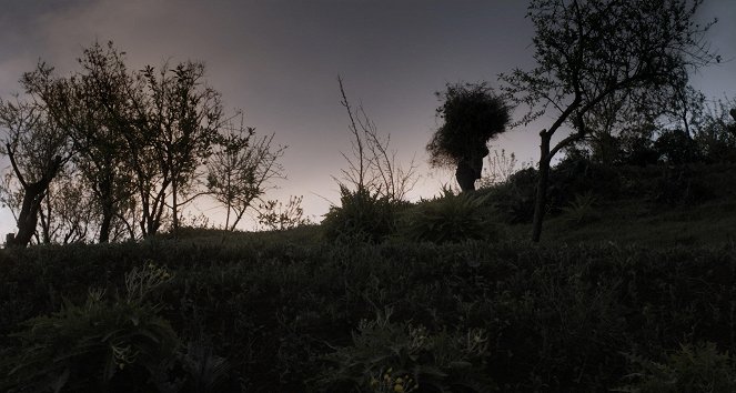 La hojarasca - Filmfotók