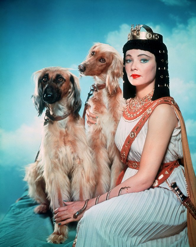 Sinuhe der Ägypter - Werbefoto - Gene Tierney