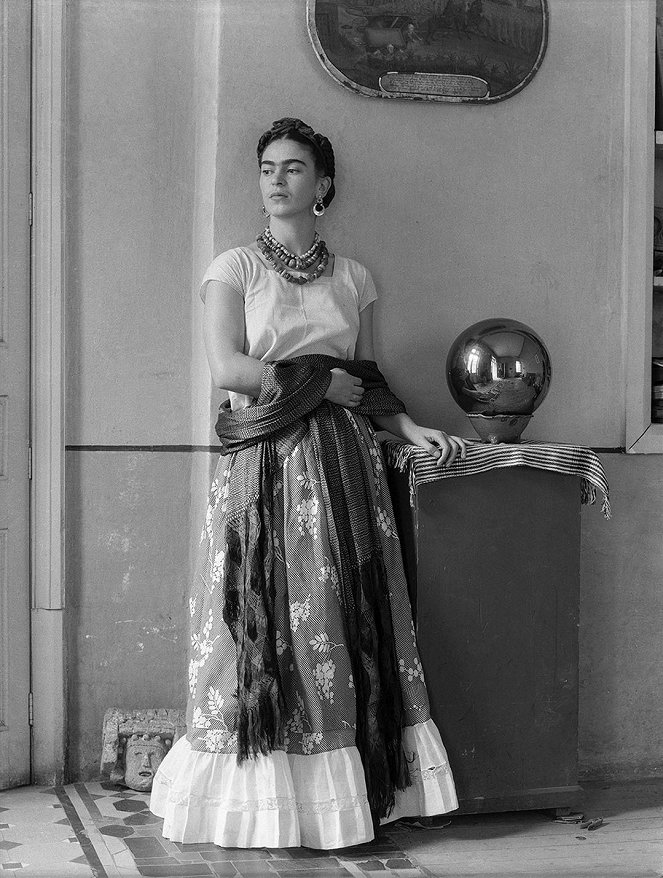 Becoming Frida Kahlo - Van film