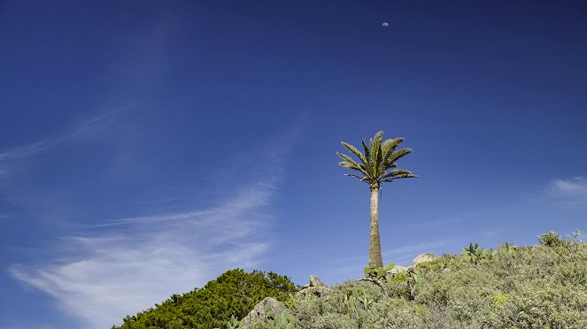 Aus dem Feuer geboren - Die Kanaren – Inseln der Glückseligen - La Gomera & El Hierro - In einem Land vor unserer Zeit - Kuvat elokuvasta