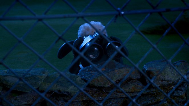 Shaun, das Schaf - Alle für Teddy / Großes Kino - Filmfotos