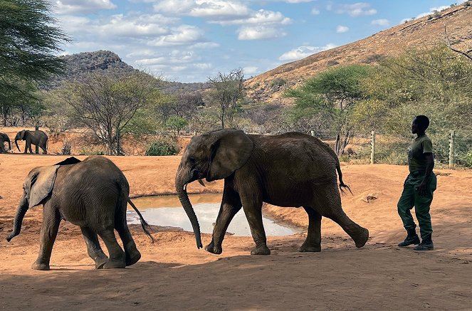 Kenia, die Elefanten-Nannys - Filmfotos