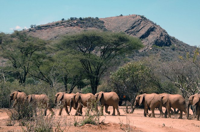 Kenia, die Elefanten-Nannys - Filmfotos