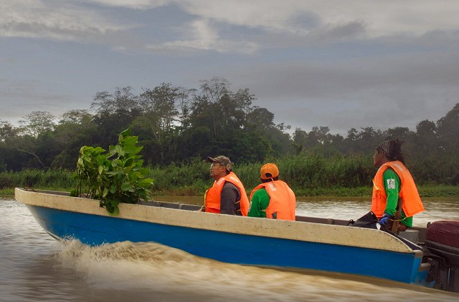Paradiese aus Menschenhand - Hoffnung für den Regenwald? - Filmfotos