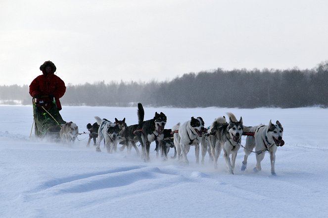 Fahrt ins Risiko - Season 3 - Auf Norwegens arktischen Straßen - Photos