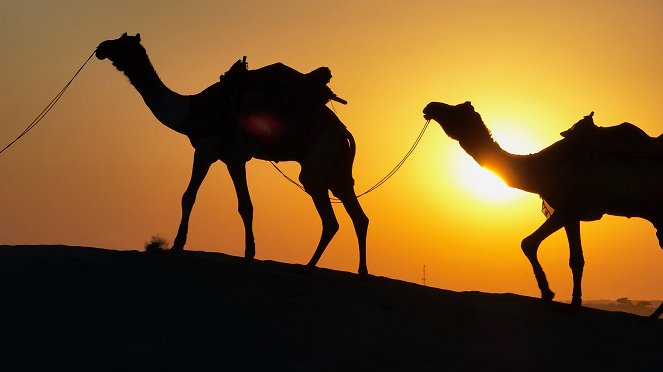Fahrt ins Risiko - Mit Kamelen und Trucks durch Rajasthan - Filmfotók