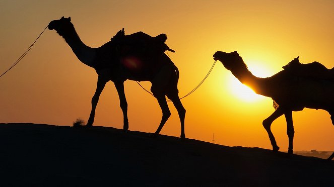 Fahrt ins Risiko - Season 3 - Mit Kamelen und Trucks durch Rajasthan - Filmfotók