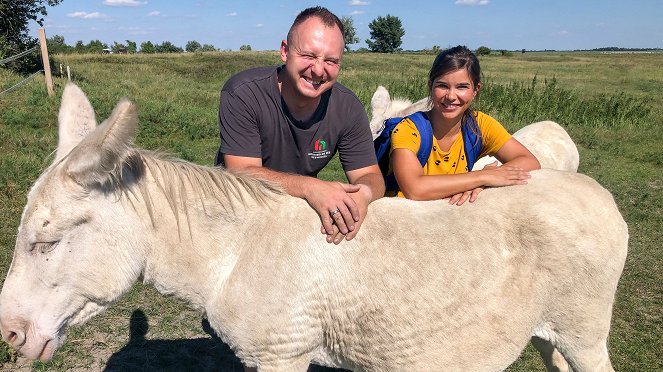 Anna und die wilde Herde - Zelten mit den Ziegen - Filmfotos