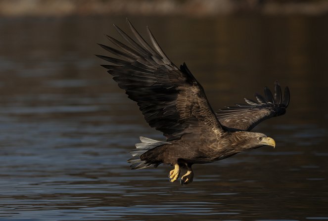 Ireland's Wild Islands - Photos