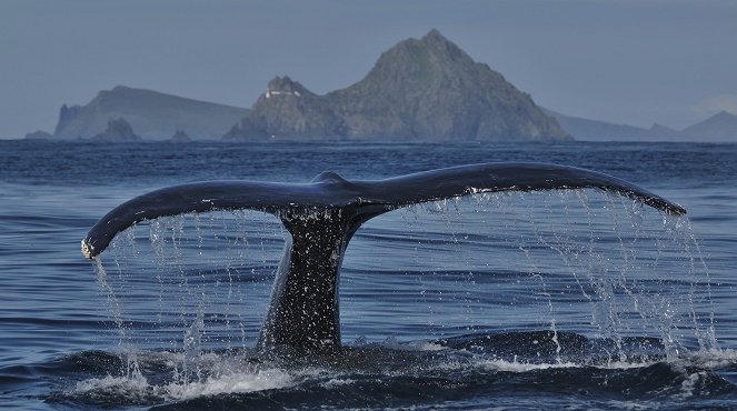 Ireland's Wild Islands - Filmfotos