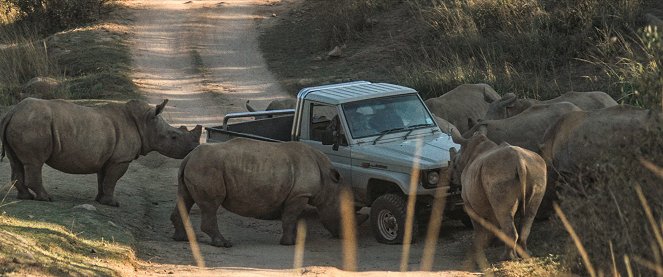 Thabo and the Rhino Case - Photos