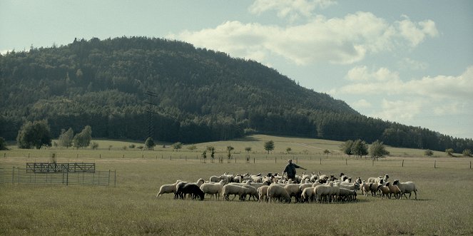 Zvlčeni - Z filmu